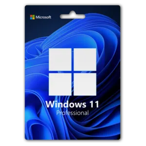 Windows 11  pro 
