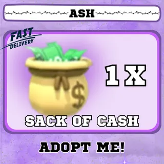 SACK OF CASH 