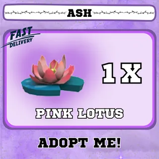 Pink Lotus 