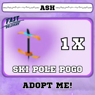 SKI POLE POGO