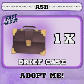 BRIEF CASE