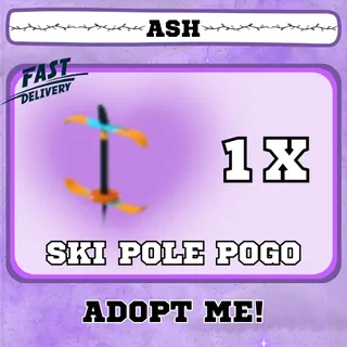 SKI POLE POGO