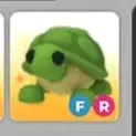 FR TURTLE 
