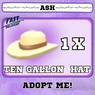 TEN GALLON HAT