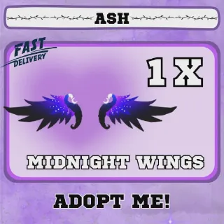 MIDNIGHT WINGS