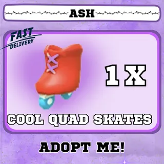 COOL QUAD SKATES 