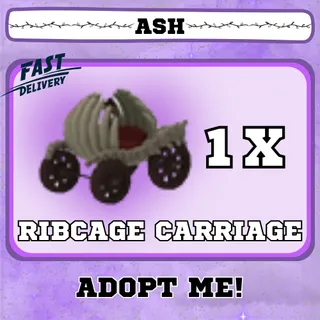 RIBCAGE CARRIAGE 