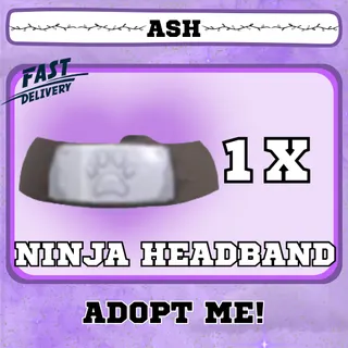 NINJA HEADBAND 