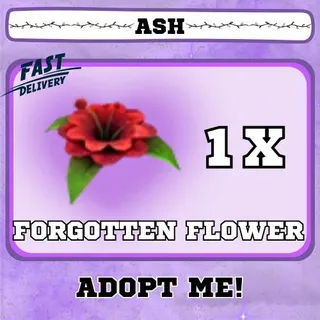 FORGOTTEN FLOWER