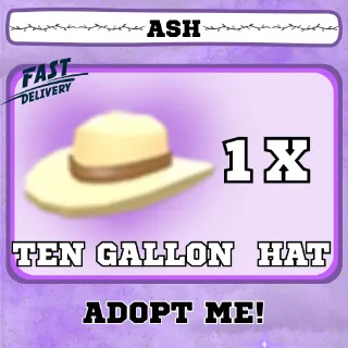 TEN GALLON HAT