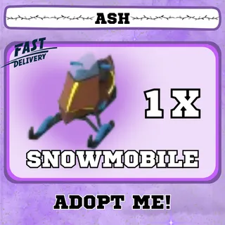 SNOWMOBILE 
