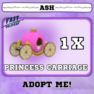 PRINCESS CARRIAGE 