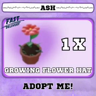 GROWING FLOWER HAT