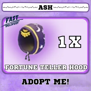 FORTUNE TELLER HOOD 