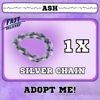 SILVER CHAIN 