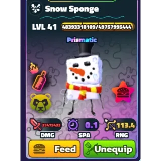 SNOW SPONGE
