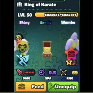 SW 5⭐️ KING OF KARATE