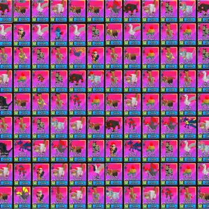 Build a zoo-Custom order