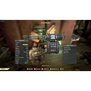 Gilded Minigun | Legacy | Lvl 35 |