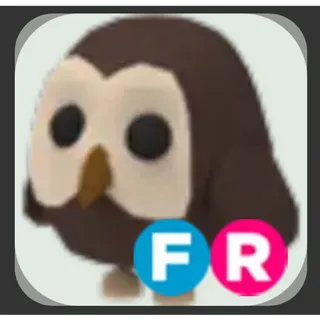 FR OWL