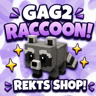 6 Raccoon GAG2!