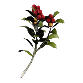 20 Candleberries - Arc Raiders / Scrappy Lvl 4