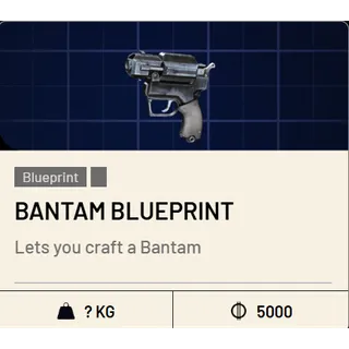 Bantam Blueprint - Arc Raiders / Fast & Secure
