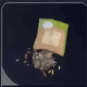 🔥 Assorted Seeds X 2000