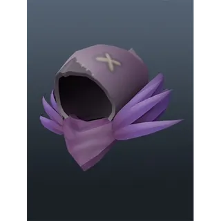 ☑️ Raven Hunter Hood 