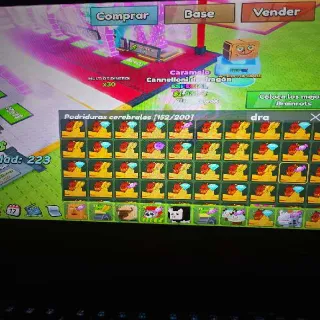 X50 Dragon Cannelloni Mixed (FAST DELIVERY)