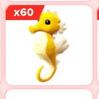 X60 Seahorse Adopt Me (FAST DELIVERY)