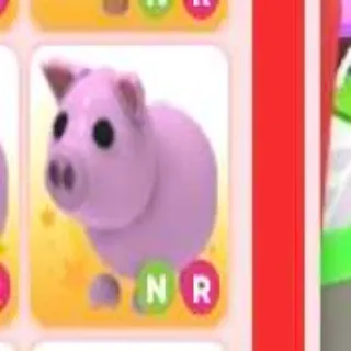NR PIG