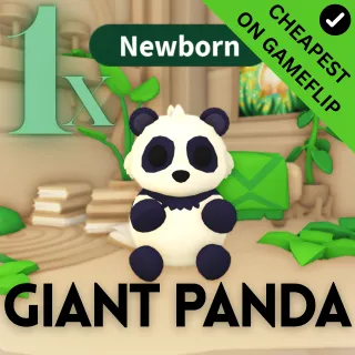 giant panda