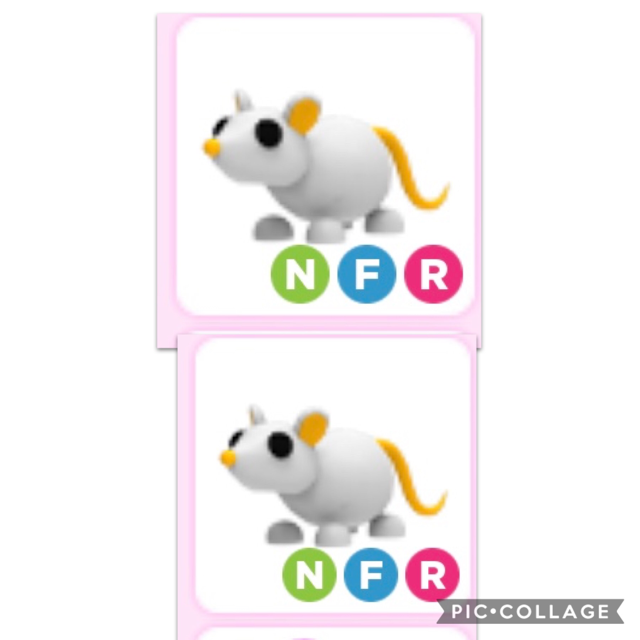 Pet Nfr Gold Rats In Game Items Gameflip - gold rat roblox