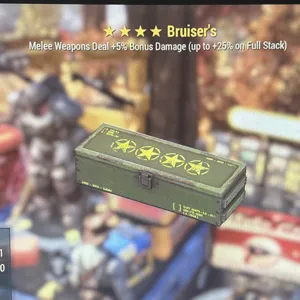 Bruiser’s Mod Box