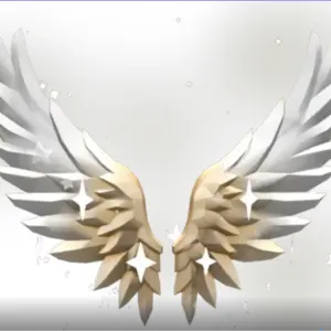 Angel wings