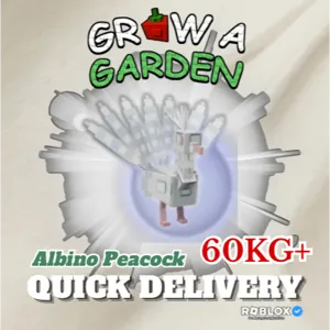 Albino Peacock 60KG+