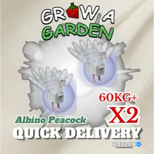X2 Albino Peacock 60KG+