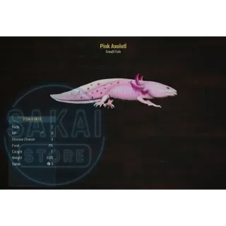 PINK AXOLOTL