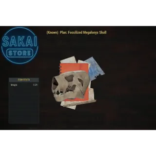 PLAN | FOSSILIZED MEGALONYX SKULL