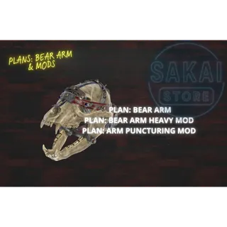 PLAN | BEAR ARM & MODS 
