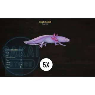 5 PURPLE AXOLOTL