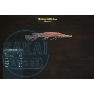 HOCKING HILL HELLION