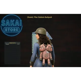 PLAN | BRAHMIN BACKPACK