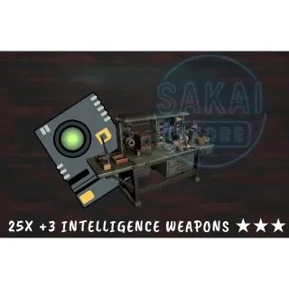 25X +3 INTELLIGENCE WEAPONS