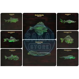 GLOWING FISH BUNDLE