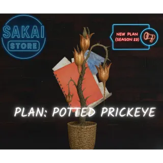 PLAN | POTTED PRICKEYE