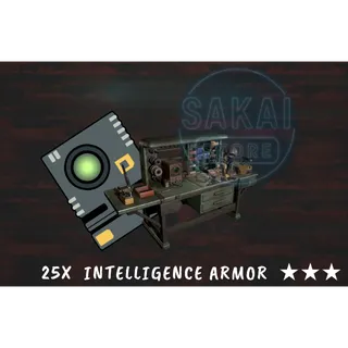 25X INTELLIGENCE ARMOR 