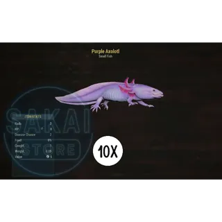 10 PURPLE AXOLOTL