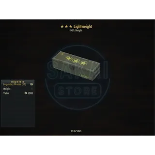 LIGHTWEIGHT MOD